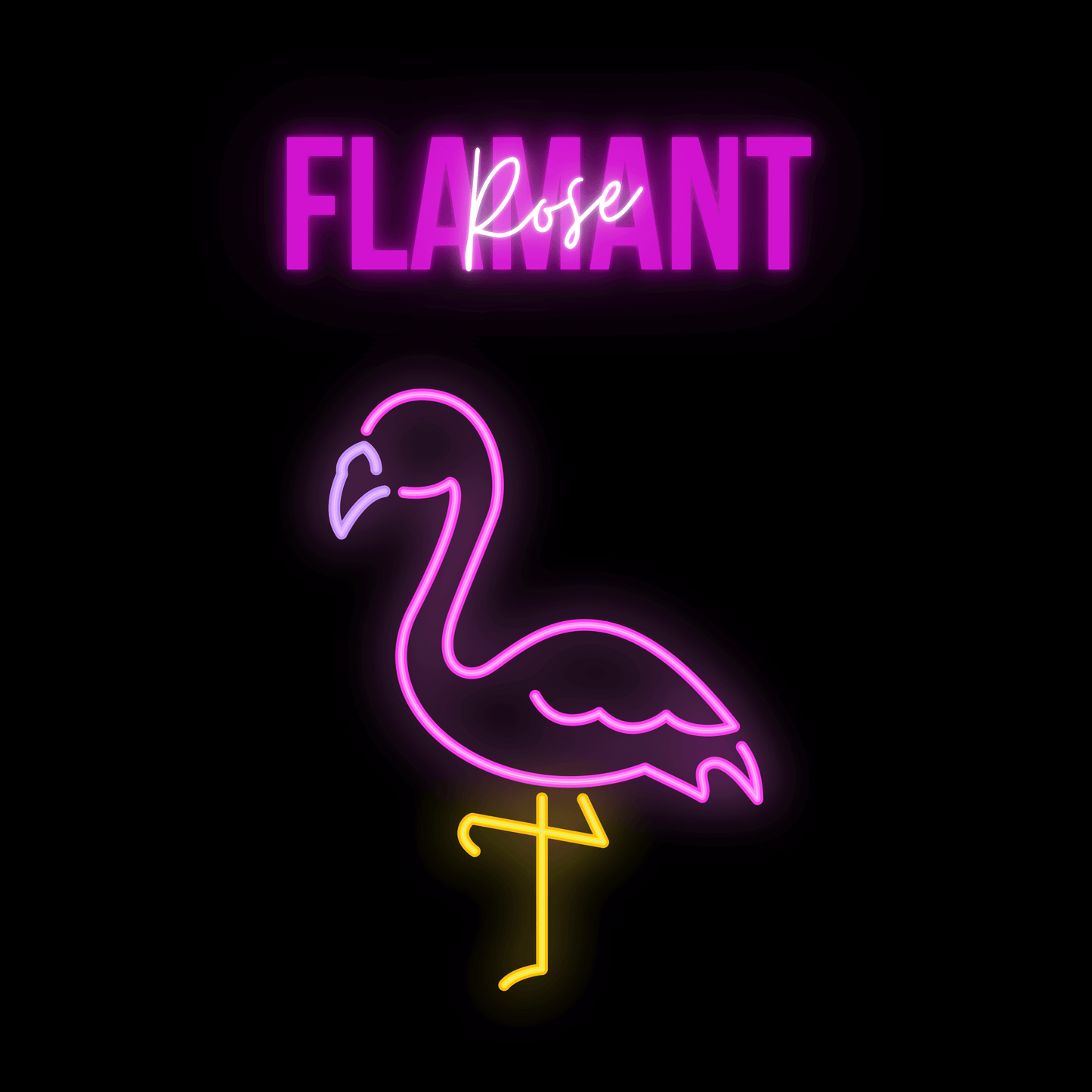 tsgabrielle • Flamant Rose • Bag • Black • Coton Bio - tsgabrielle