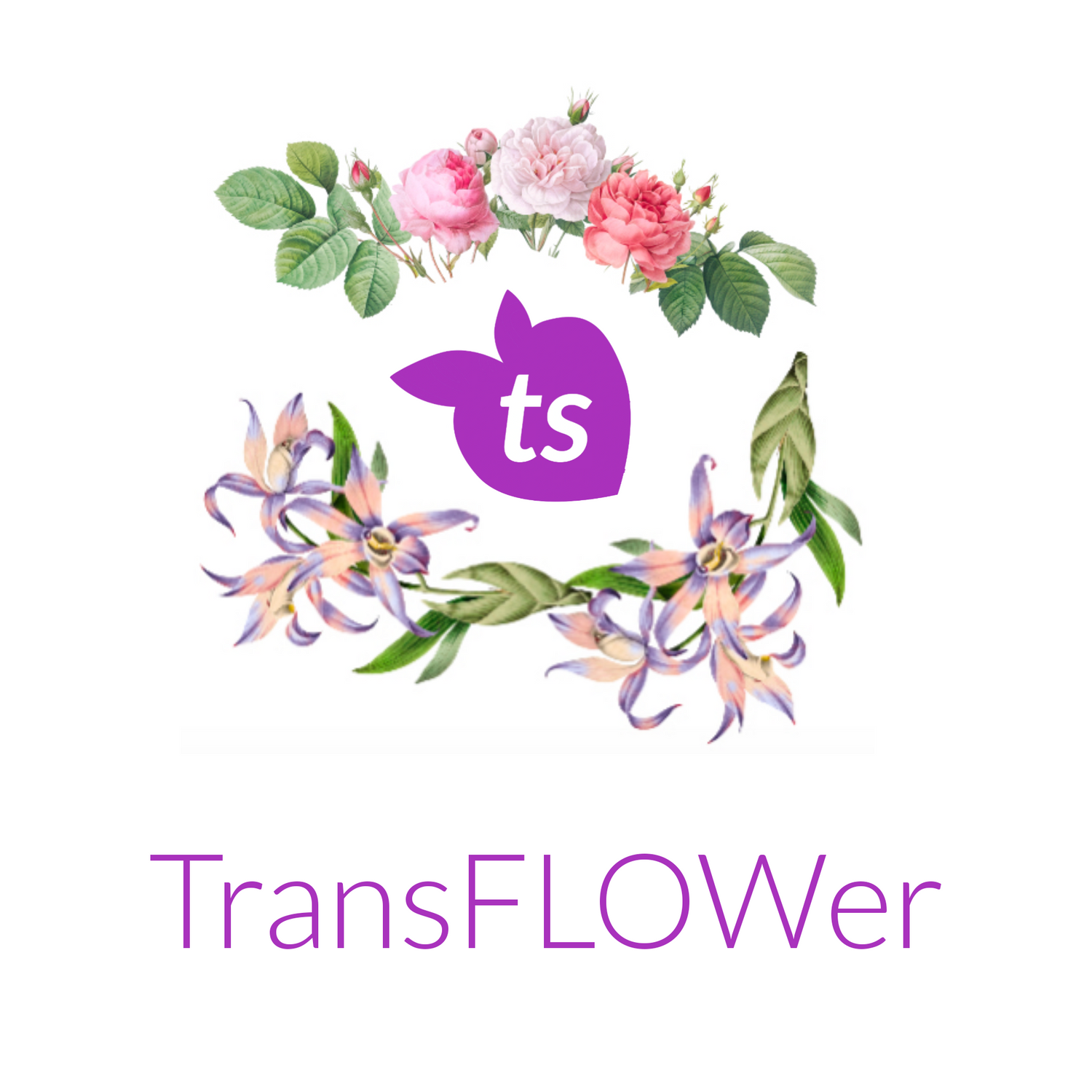 TransFLOWer