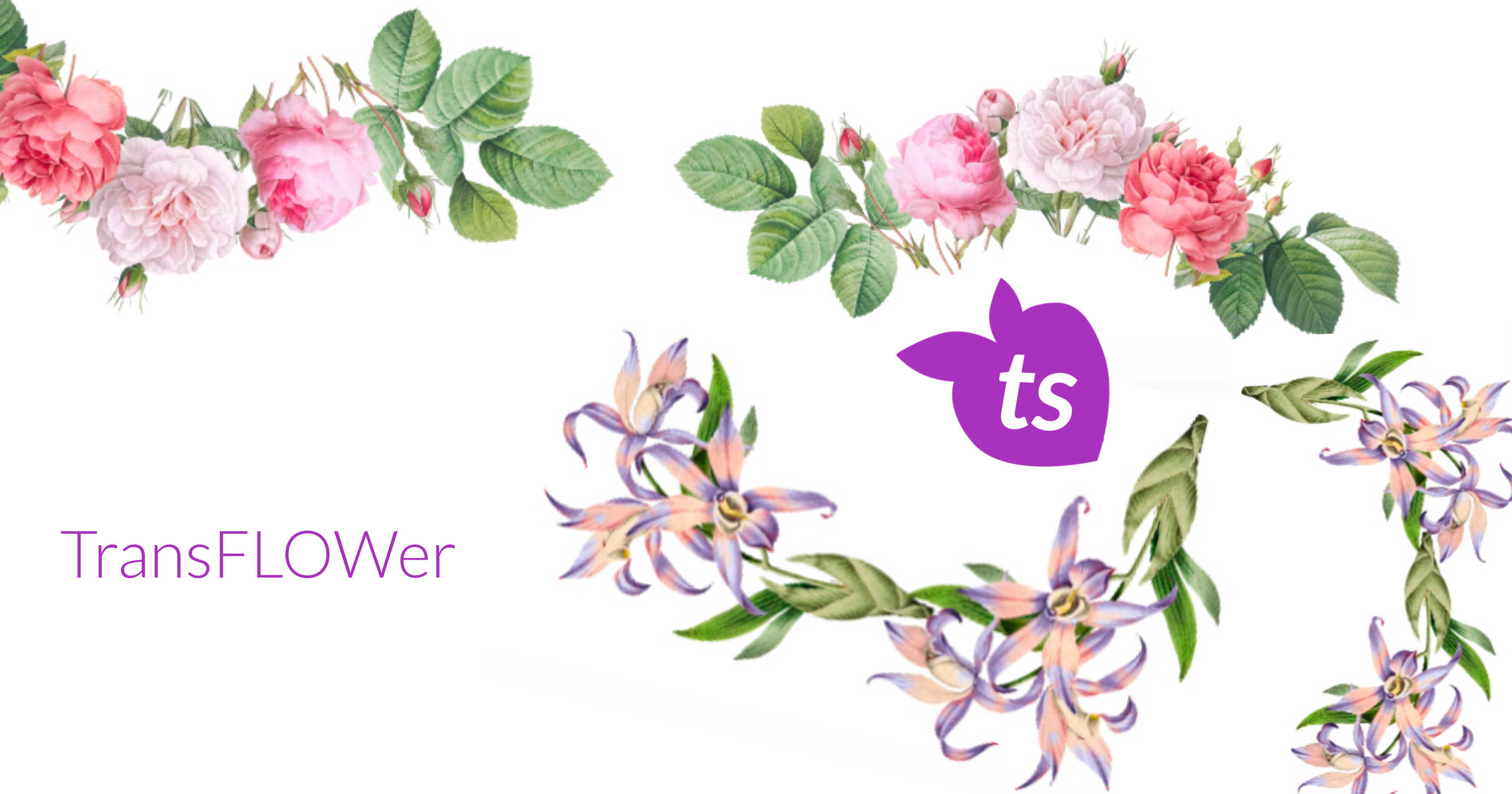 TransFLOWer Banner