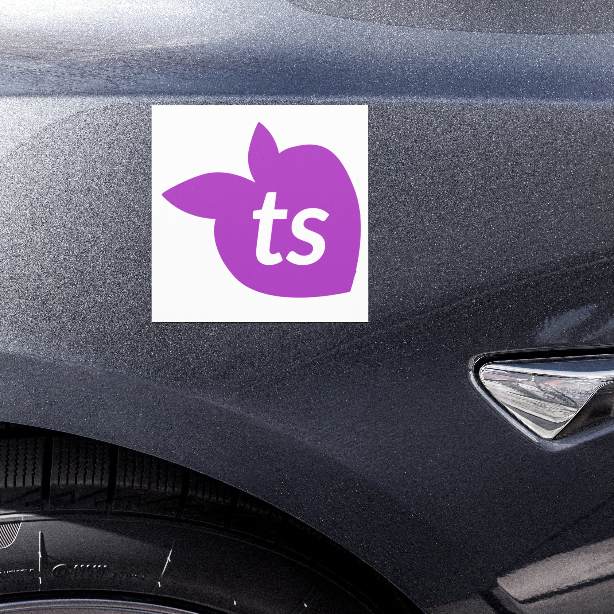 tsgabrielle® • Car Magnets • White • One Sizes