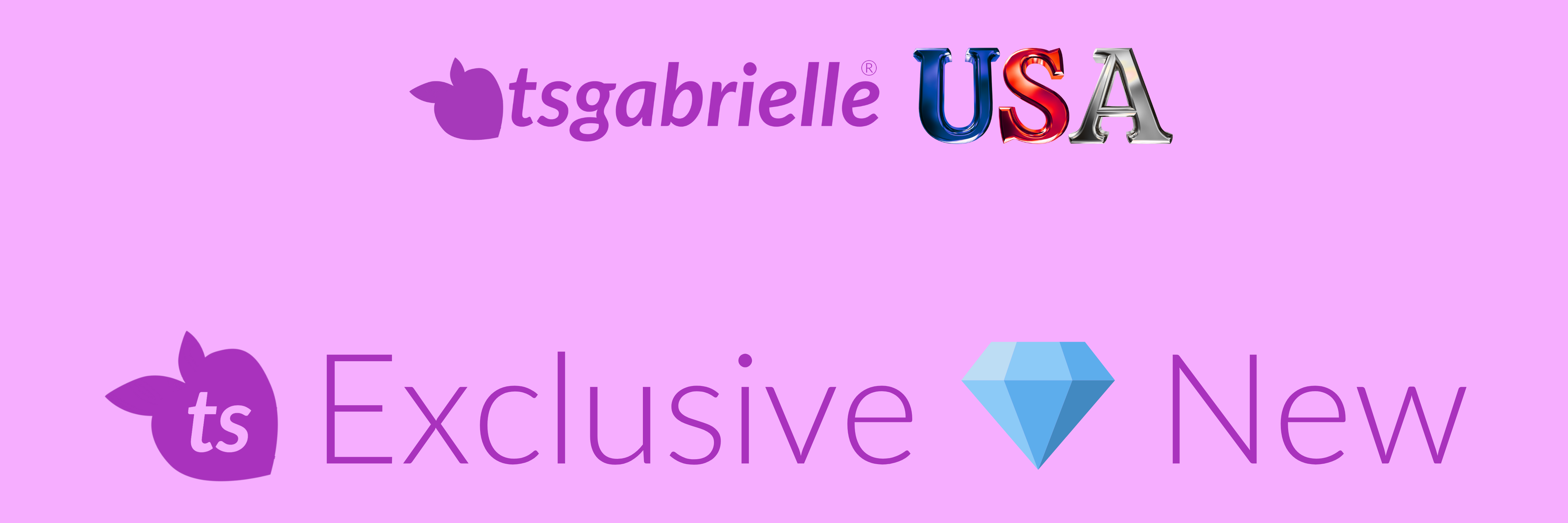 Logo with 'tsgabrielle USA' on a purple background
